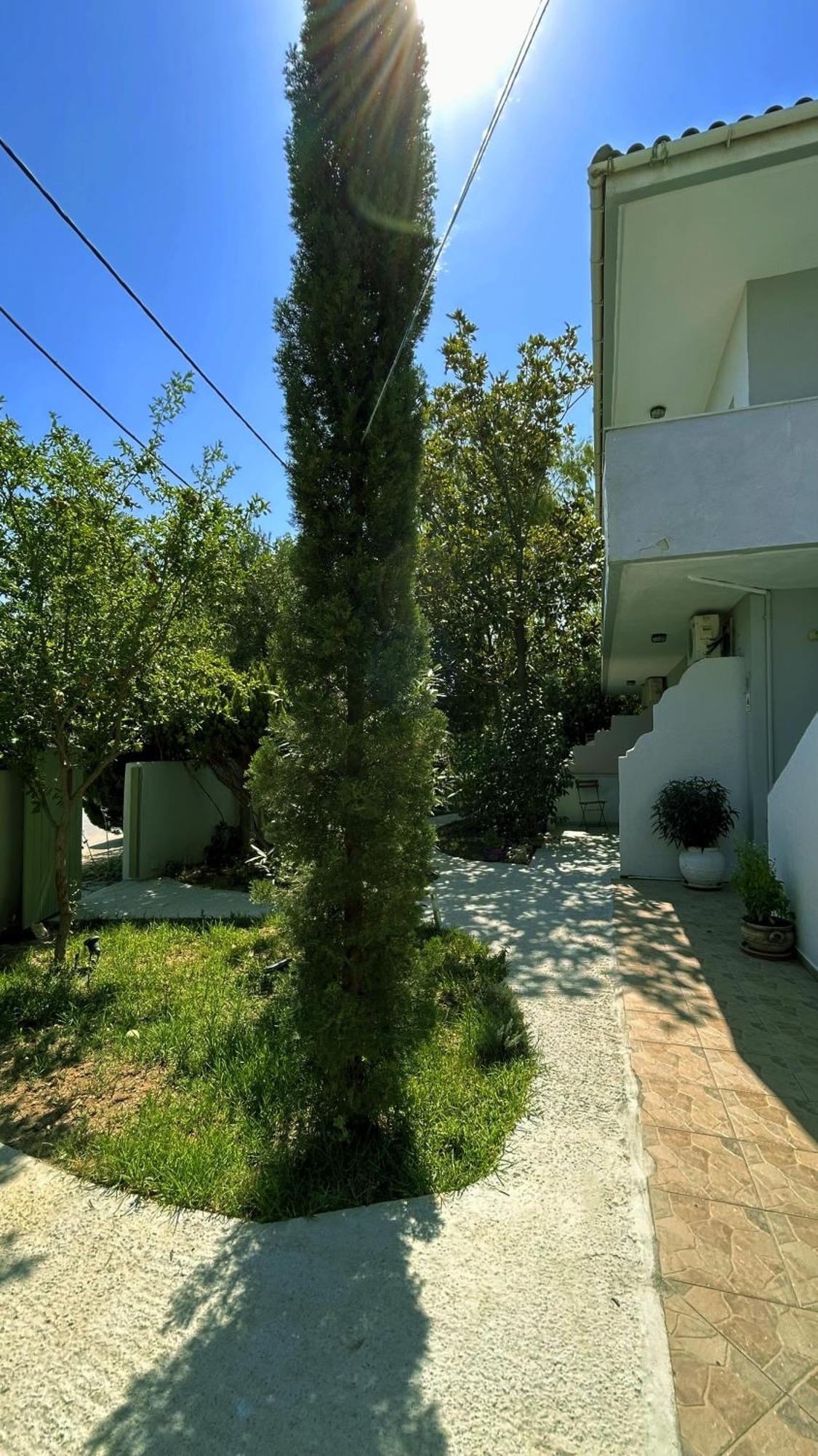 Anthonas House Διαμέρισμα Νικήτη Εξωτερικό φωτογραφία