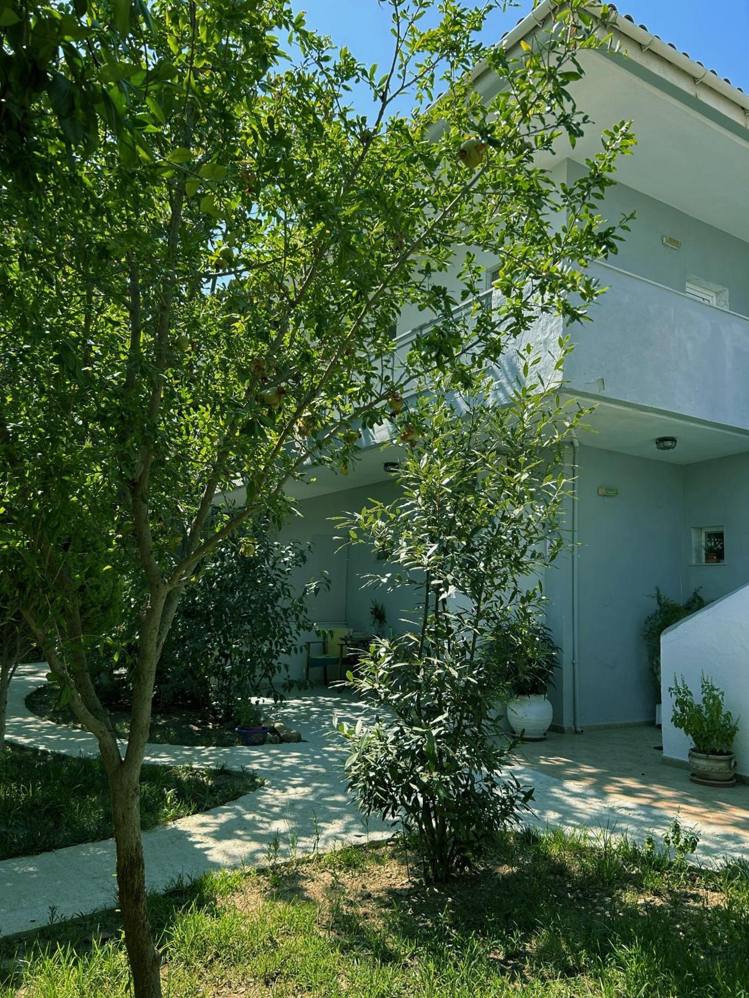 Anthonas House Διαμέρισμα Νικήτη Εξωτερικό φωτογραφία